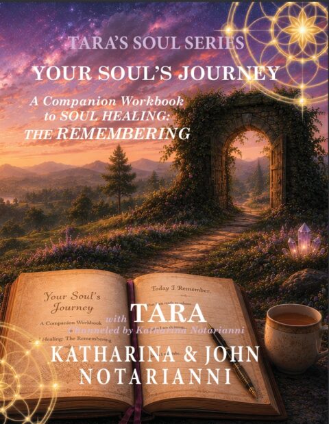 Tara's Soul Series Book 5 Your Soul's Journey workbook