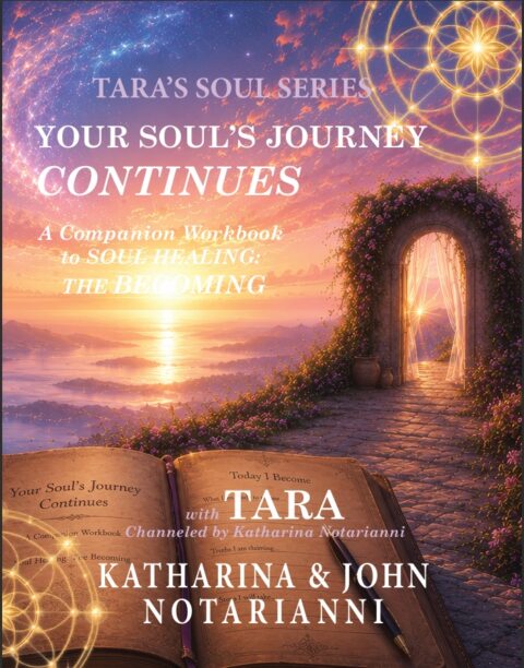 Tara's Soul Series Book 7 Your Soul's Journey Continues workbook