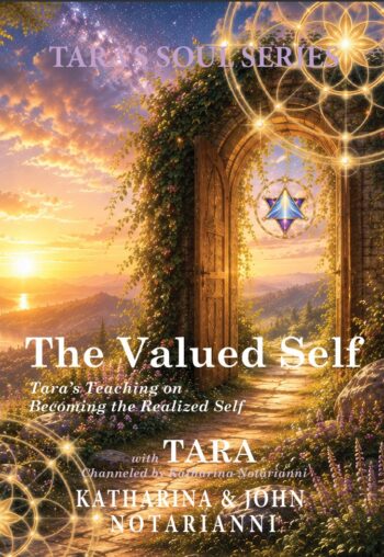 Tara's Soul Series Book 1 The Valued Self